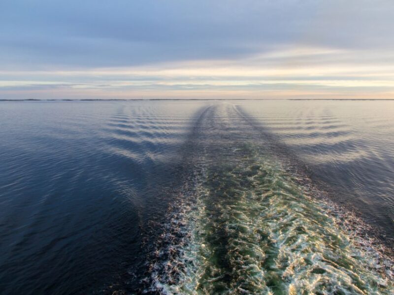 From Tallinn: Overnight Cruise to Stockholm With Breakfast - Sustainability and Environment