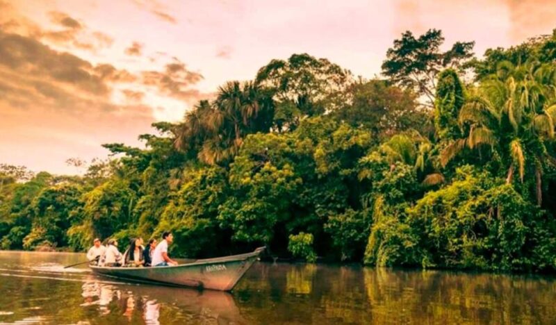 From Tambopata: Get Into Nature 2d/1n - Key Points