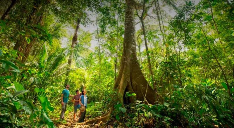 From Tambopata: in the Heart of Sandoval Lake 4d/3n - Day 2 Activities