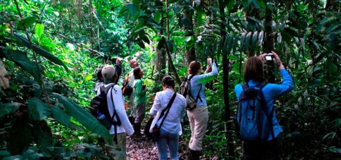 From Tambopata: in the Heart of Sandoval Lake 4d/3n - Highlighted Experiences