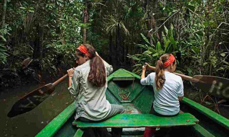 From Tambopata || Monkey Island + Sandoval Lake + Bonfire || - Key Points