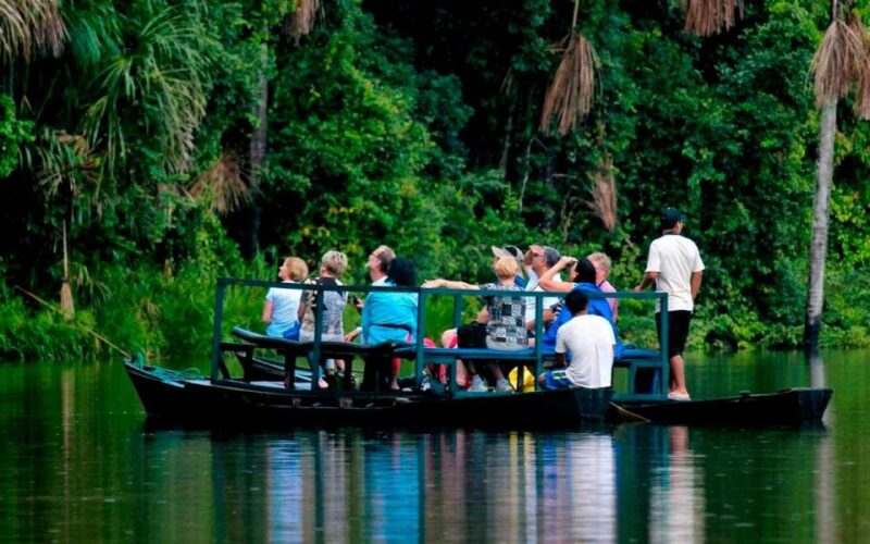 From Tambopata: Sandoval Lake Full Day - Pricing and Duration