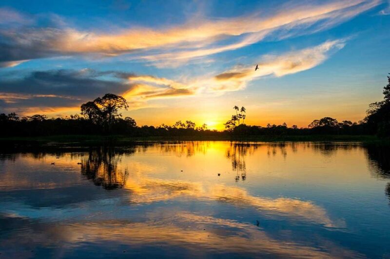 From Tambopata: Sunset on the Tambopata River - Itinerary Details