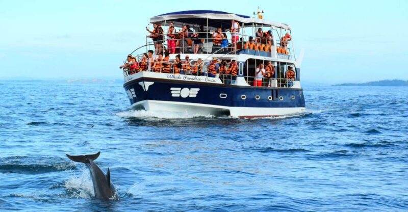 From Tangalle: Mirissa Whale Watching Tour With Breakfast - Onboard Amenities