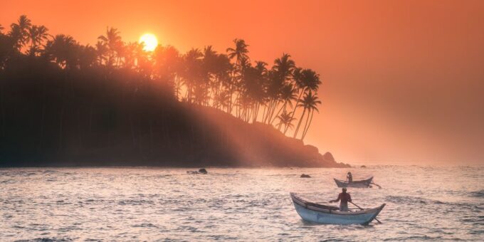 From Tangalle: Mirissa Whale Watching Tour With Breakfast - Customer Reviews and Booking