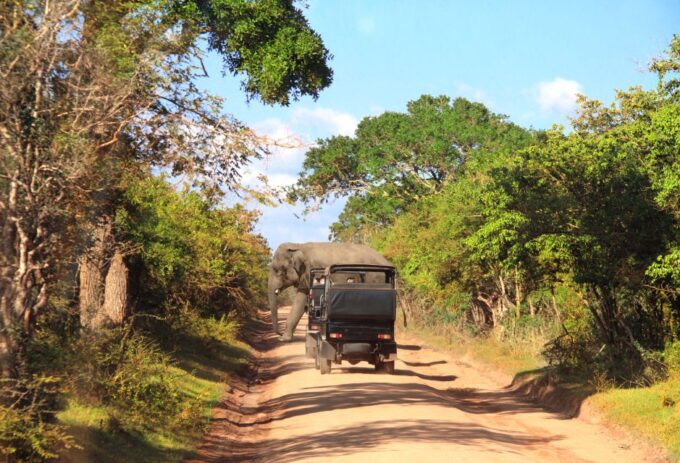 From Tangalle: Shuttle to Nuwara Eliya With Udawalawe Safari - Inclusions and Pricing Information