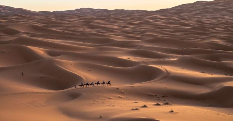 From Tangier : 10 Days to Chefchaouen and Fes ,Sahara Desert - Fes Cultural Immersion