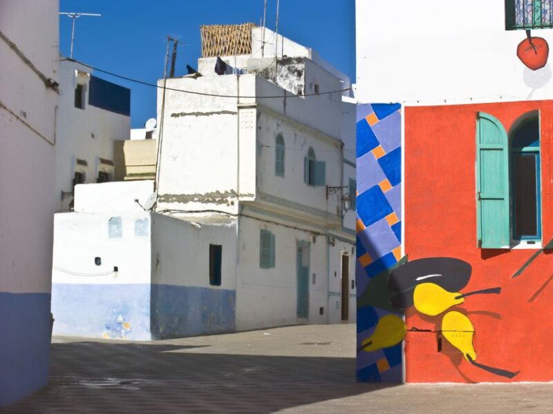 From Tangier: Asilah City Tour - Itinerary and Activities