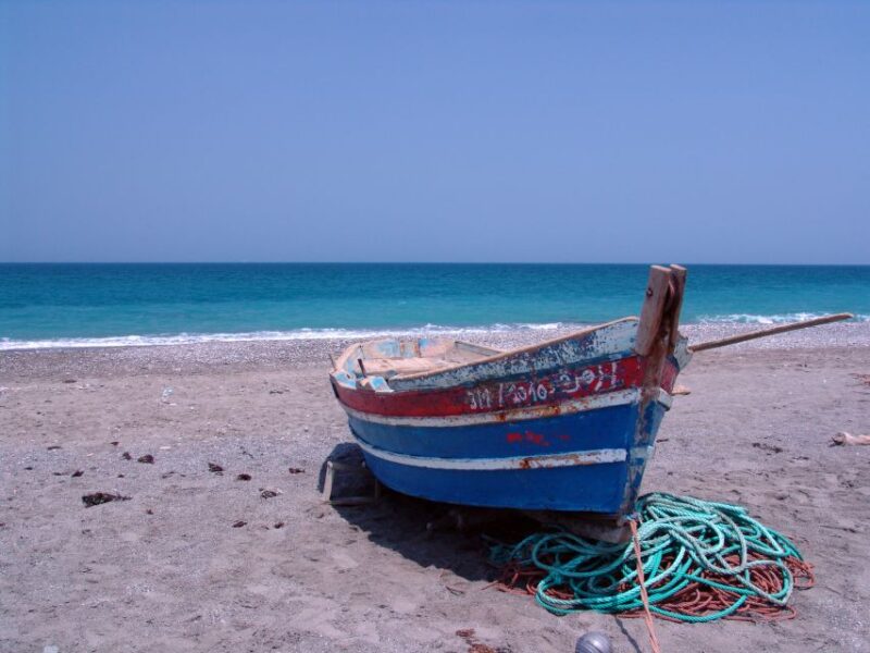 From Tangier: Asilah City Tour - Inclusions