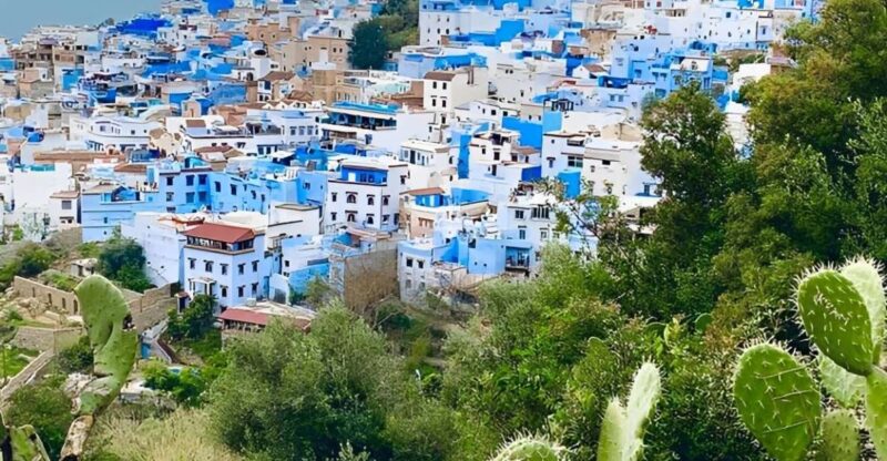 From Tangier: Chefchaouen Private Day Tour - Highlights to Discover