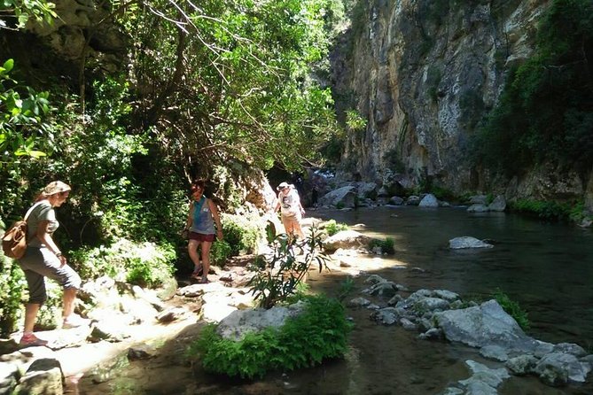 From Tangier : Day Trip to Chefchaouen and Akchour the Waterfalls - Akchour Waterfalls Exploration
