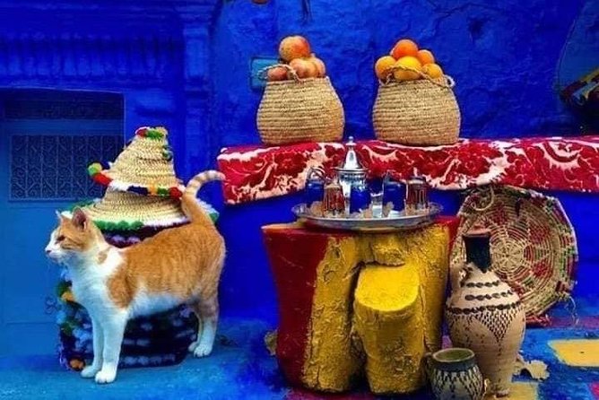 From Tangier: Special Day Trip to Chefchaouen and Tetouan - Accessibility and Convenience