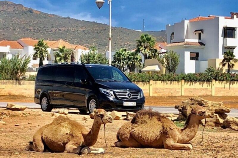 From Tangier to Chefchaouen: A Day of Moroccan Magic - Expert Guidance and Inclusions
