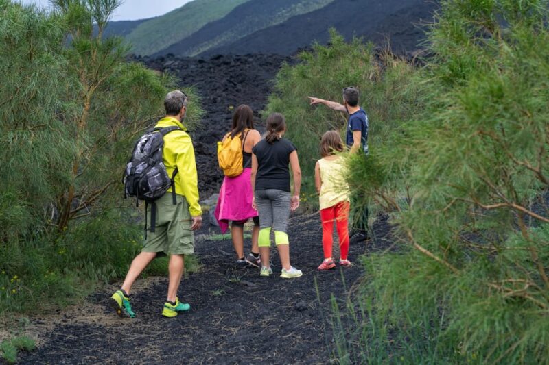 From Taormina: Etna Tour With Hiking, Cave Visit, & Tastings - Customer Reviews and Ratings