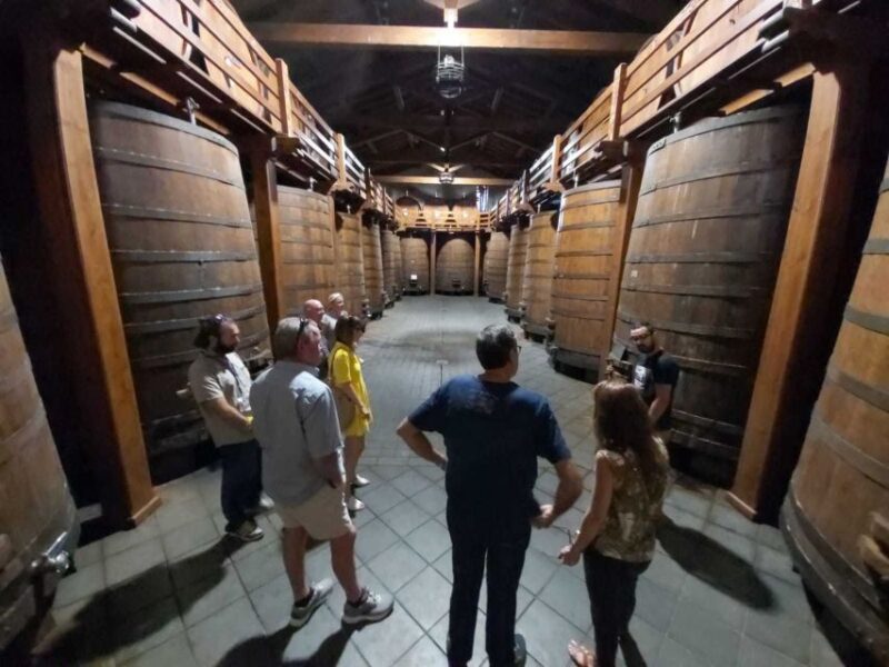From Taormina: Etna Wineries Small Group Tour - Itinerary