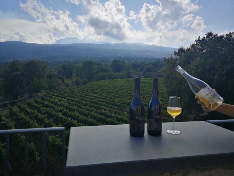 From Taormina: Etna Wineries Small Group Tour - Experience Highlights