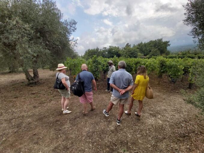 From Taormina: Etna Wineries Small Group Tour - Frequently Asked Questions