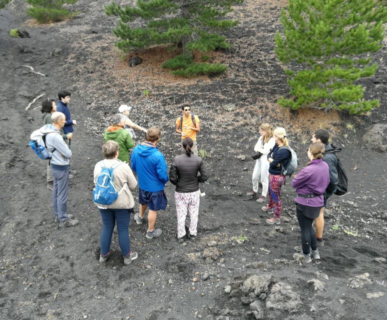 From Taormina: Full-Day Etna, Wine & Alcantara Canyons Tour - Inclusions