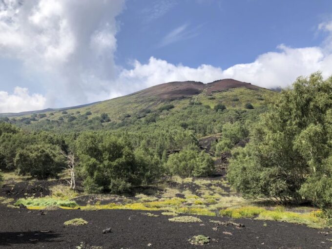 From Taormina: Full-Day Etna, Wine & Alcantara Canyons Tour - Alcantara Canyons Visit