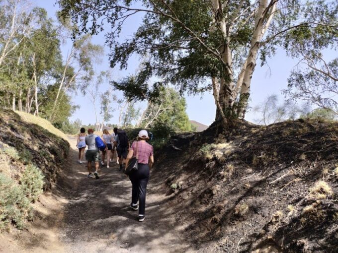 From Taormina/Giardini Naxos: Etna Immersive Trek & Lunch - Frequently Asked Questions