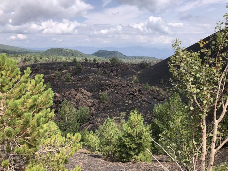 From Taormina: Half-Day Mount Etna Morning Trek - Hiking Experience