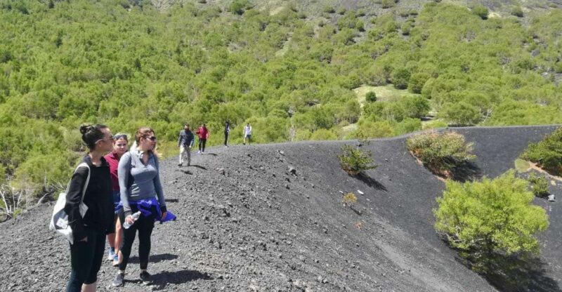 From Taormina: Half-Day Mount Etna Morning Trek - Guide Expertise