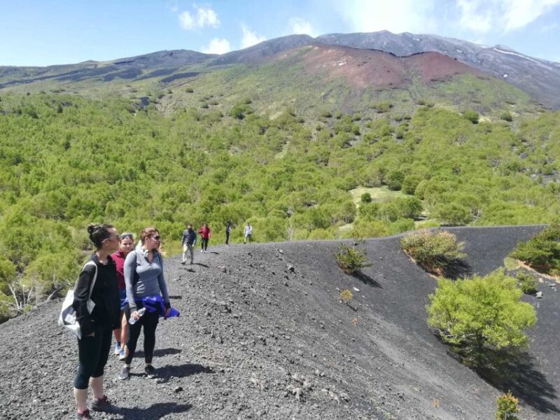 From Taormina: Half-Day Mount Etna Morning Trek - Included Amenities