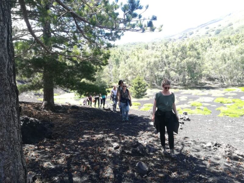 From Taormina: Half-Day Mount Etna Morning Trek - Customer Ratings