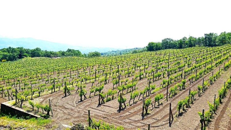 From Taormina: Mount Etna Tour With Food and Wine Tasting - Itinerary and Duration
