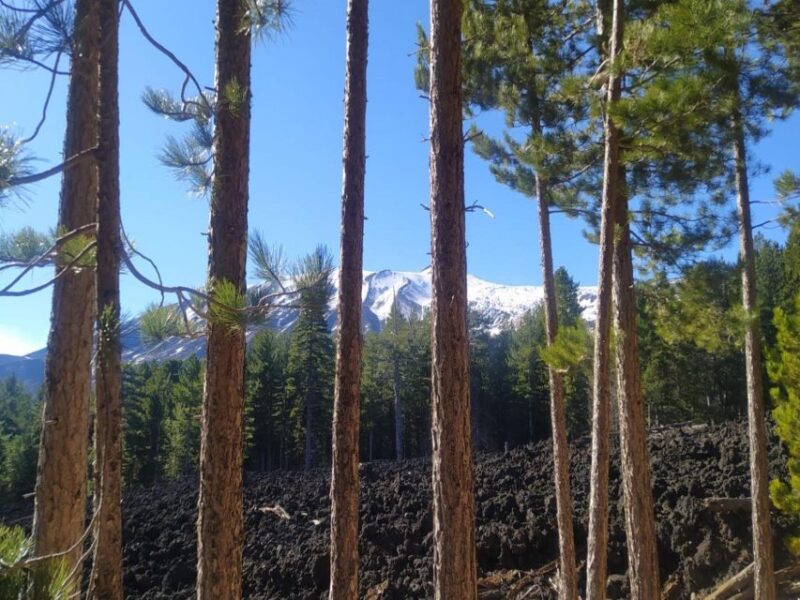From Taormina: Mount Etna Tour With Food and Wine Tasting - Safety and Precautions