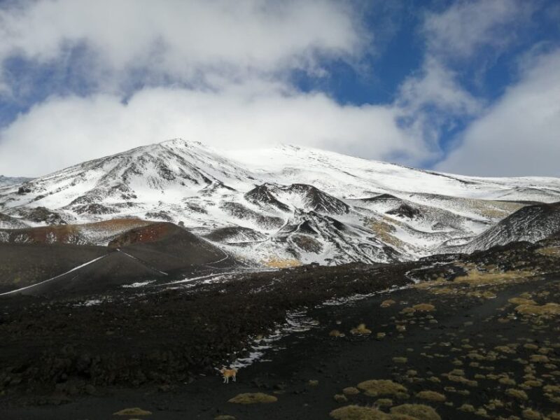 From Taormina or Catania: Private Full-Day Mount Etna Hike - Itinerary and Experience