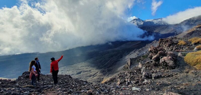 From Taormina or Catania: Private Full-Day Mount Etna Hike - Highlights and Activities