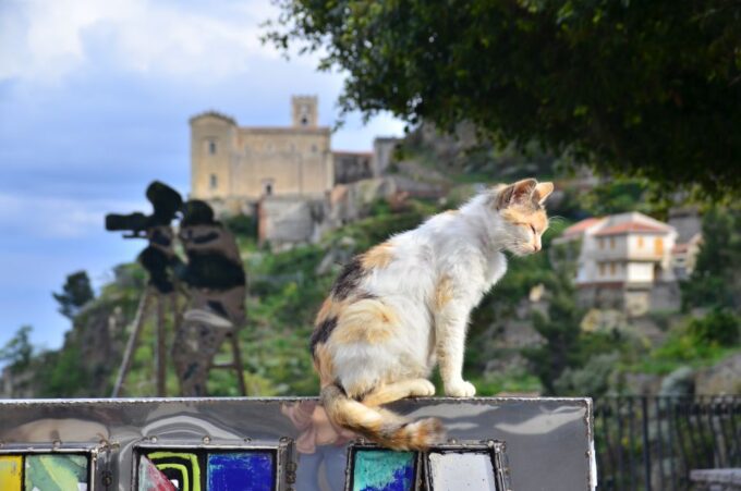 From Taormina or Letojanni: Godfather Film Location Tour - Booking Information