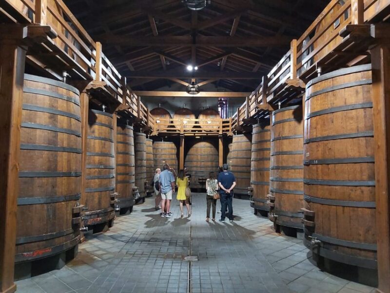 From Taormina: Private Tour of Taormina & Etna Winery Visit - Inclusions