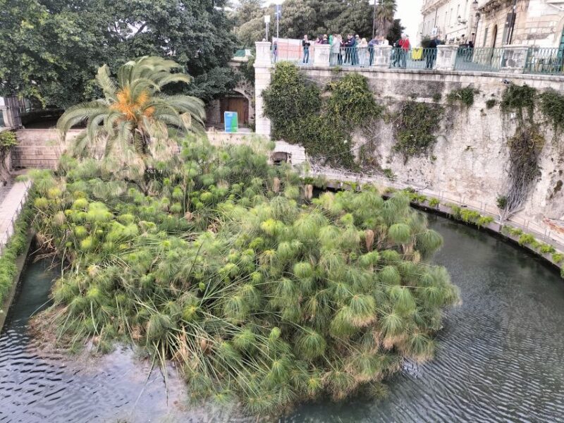 From Taormina: Siracusa & Noto Small-Group Tour - Inclusions