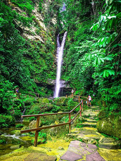 From Tarapoto: Ahuashiyacu Waterfall Half Day Tour - Key Points