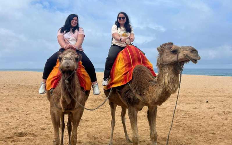 From Tarifa: 2 Days 1 Night to Chefchaouen All Inclusive - Itinerary Details