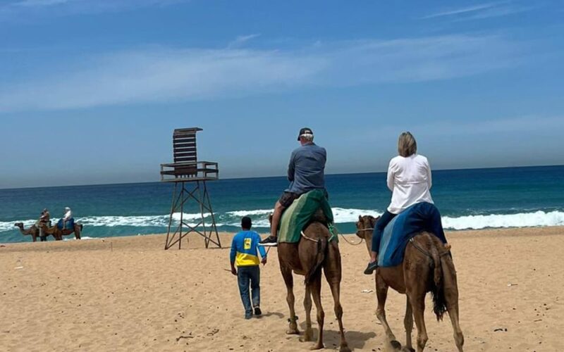 From Tarifa: 2 Days 1 Night to Chefchaouen All Inclusive - Transportation Arrangements