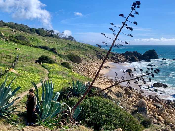 From Tarifa: Guided Hiking Tour in the Strait Natural Park - Itinerary and Experience