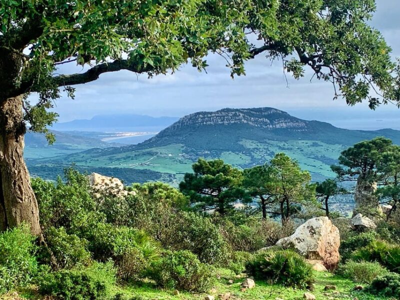 From Tarifa: Guided Hiking Tour in the Strait Natural Park - Cultural and Historical Insights