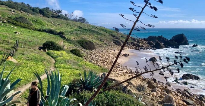 From Tarifa: Guided Hiking Tour in the Strait Natural Park - Frequently Asked Questions