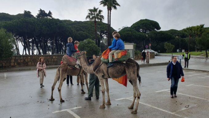 From Tarifa: Tangier Day Tour With Bazaar Shopping and Lunch - Frequently Asked Questions