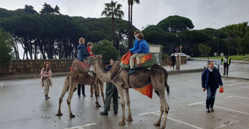 From Tarifa: Tangier Day Tour With Bazaar Shopping and Lunch - Key Points