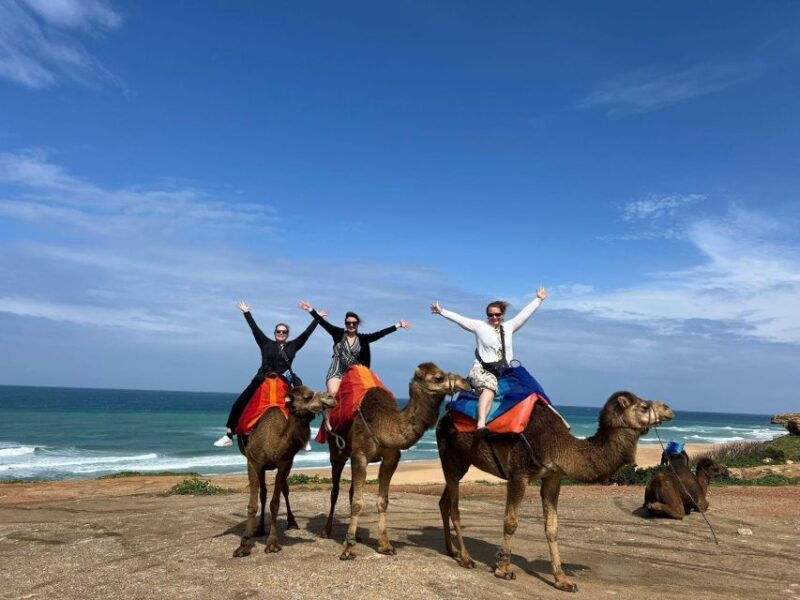 From Tarifa: Tangier Tours With Ticket and Moroccan Food - Itinerary of the Tour