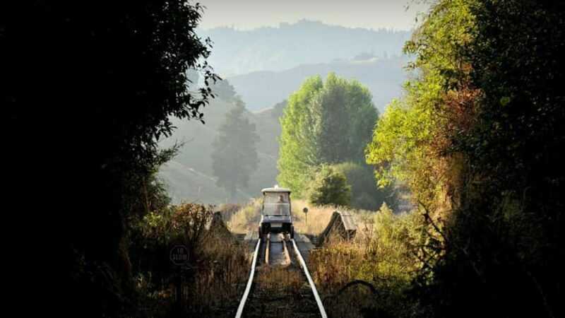 From Taumarunui: The Republic Rail Cart Adventure - The Experiences Value
