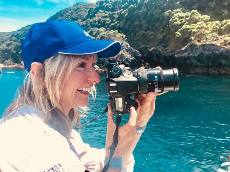 From Tauranga: Dolphin and Wildlife Cruise - An Authentic Marine Adventure from Tauranga