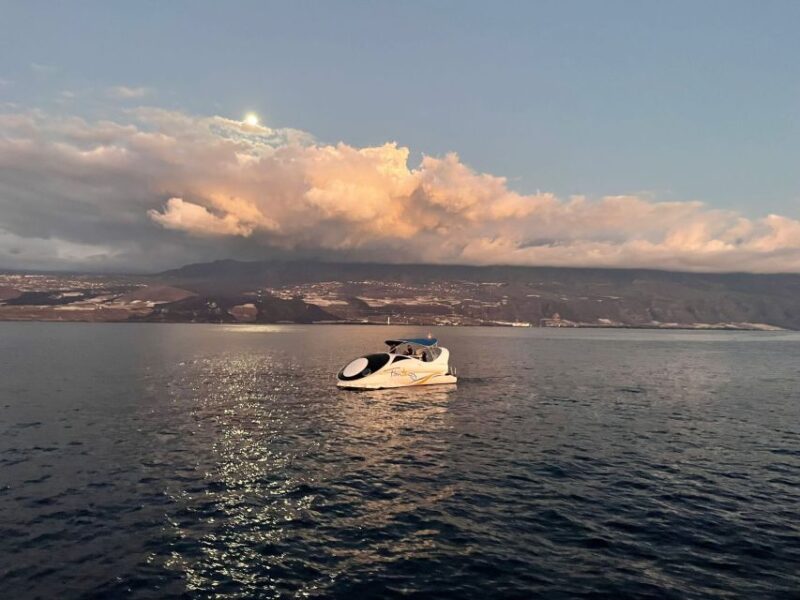 From Tazacorte: Fast Yacht Tour of La Palma - Meeting Point