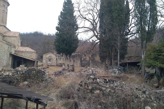 From Tbilisi : Khevsureti Day Trip (Shatili & Anatori Necropolis) - Additional Information