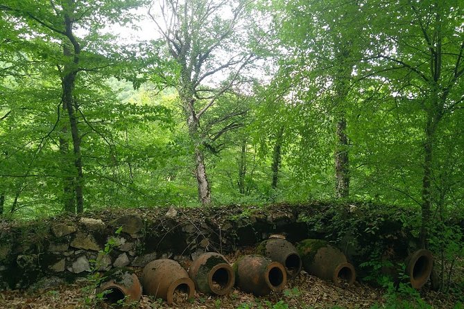 From Tbilisi : Khevsureti Day Trip (Shatili & Anatori Necropolis) - Pricing and Cancellation Policy