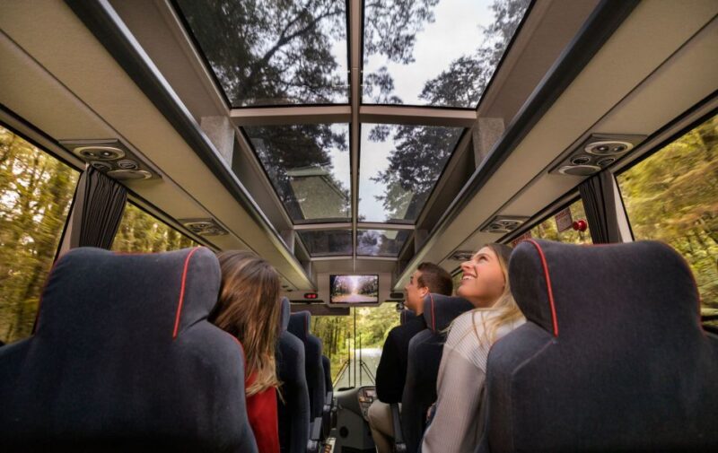 From Te Anau: 1-Day Milford Sound Coach & Cruise - Booking and Cancellation Policy